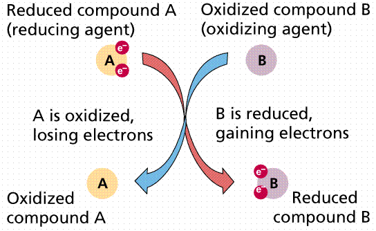 Redox