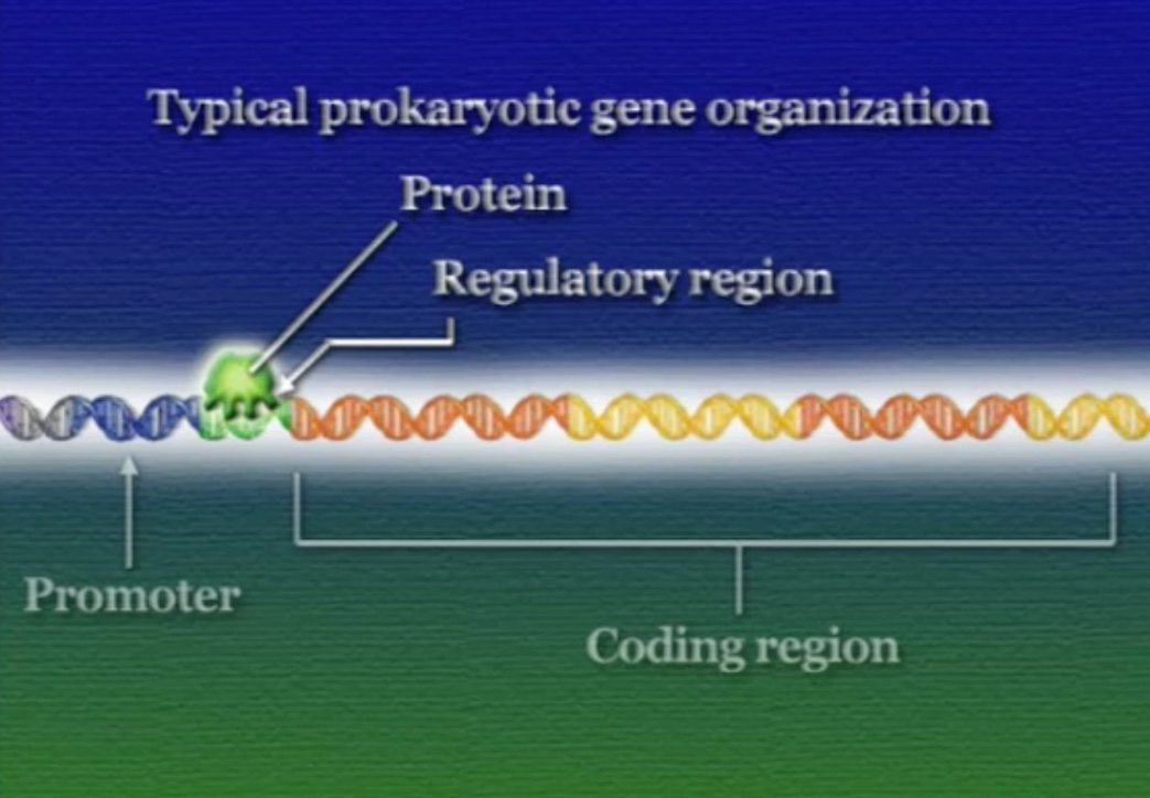 Regulation-2