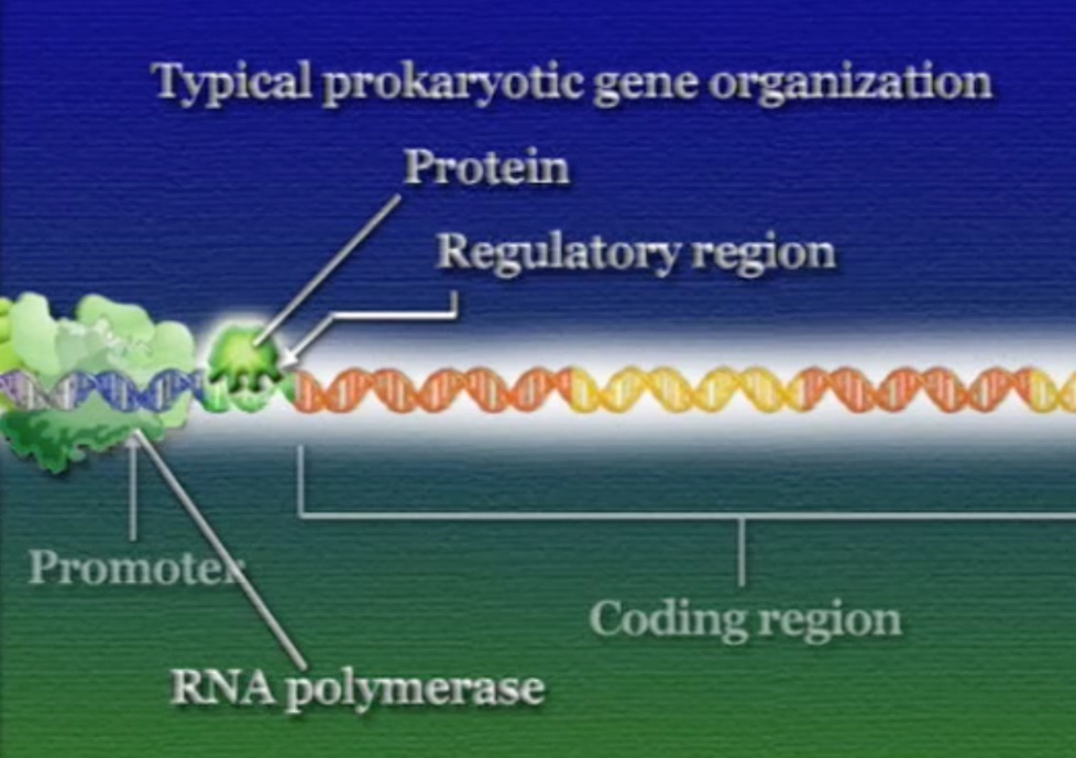 regulation-3